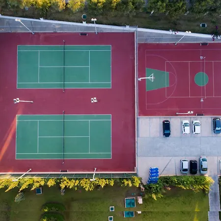 Horizon 4* מסטיכרי